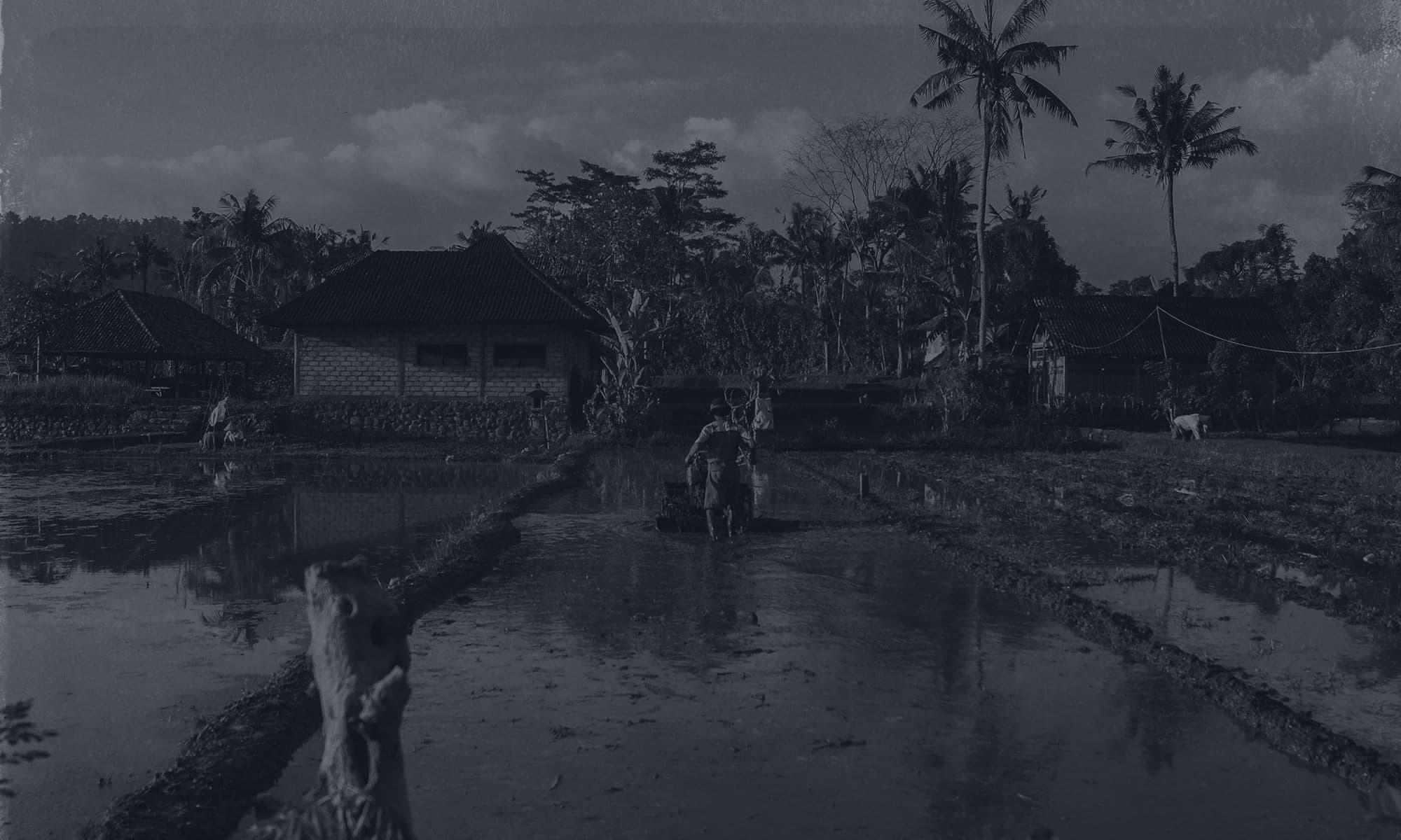 Education Initiative